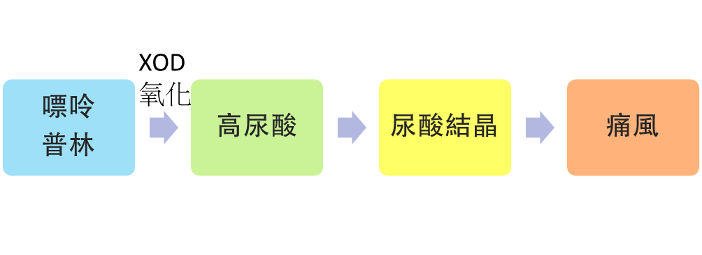 痛風發展機制